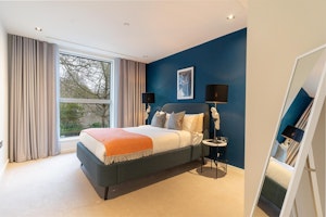 Treetops over Bayswater image 6