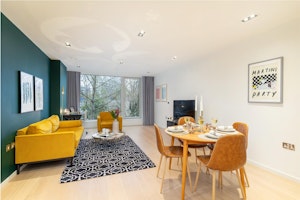 Treetops over Bayswater image 4