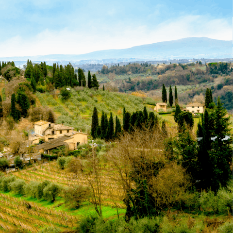 Take a day trip to the sprawling Tuscan countryside