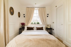 Elegant Primrose image 11