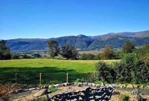 The Mabinol