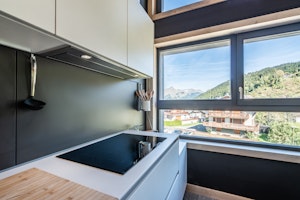 Alpine Modern image 4
