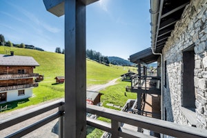 Alpine Modern image 3
