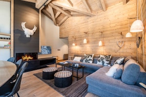 Alpine Modern image 2