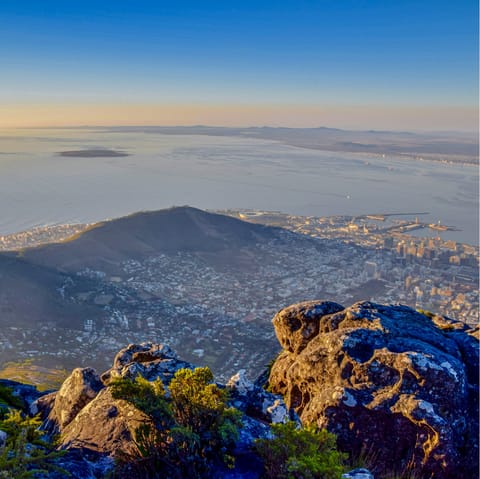 Marvel at awe-inspiring views from the top of Table Mountain