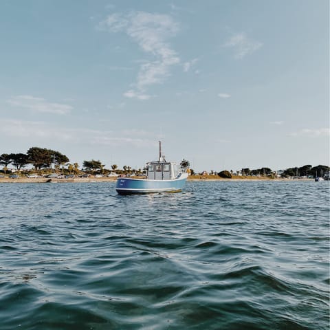 Take a boat from the harbour to Sandbanks – you can drive there in fifteen minutes too