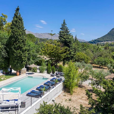 Find a natural haven nestled in the trees just outside Pollença