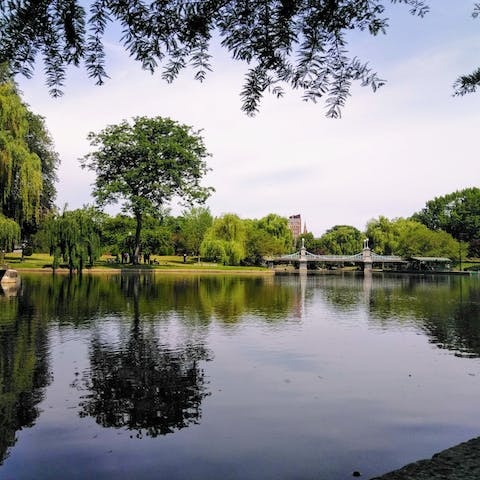 Stroll the meandering paths at Boston Public Garden, soaking up the gorgeous greenery