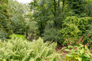 The Millstream image 3