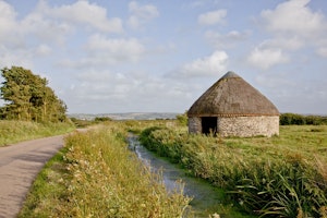 Eggshell image 9