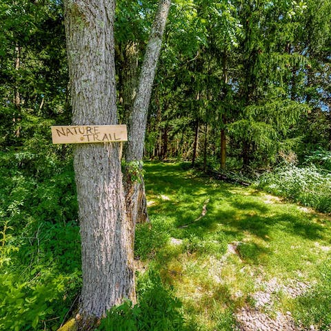 Take a walk along the gorgeous nature trails surrounding the house