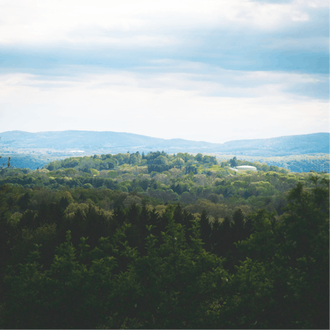 Stay a six minute drive from Saugerties, a beautiful upstate New York town