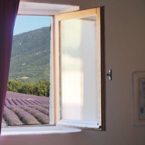 Wake up to blissful views of the lavender fields 