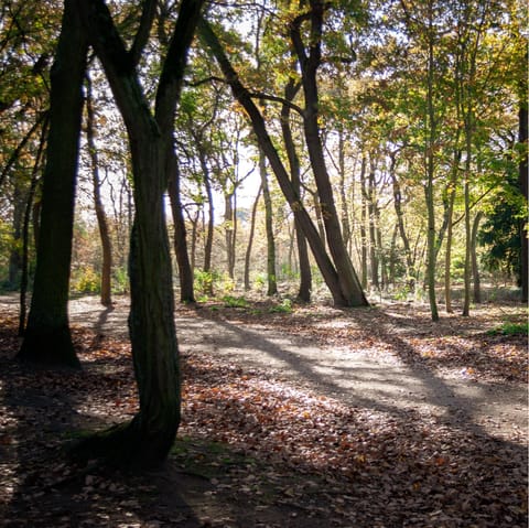 Wander Bois de Boulogne's beautiful green spaces (a twenty-four-minute walk)
