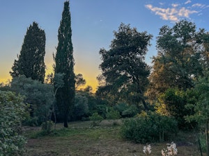 Wonderful View image 5