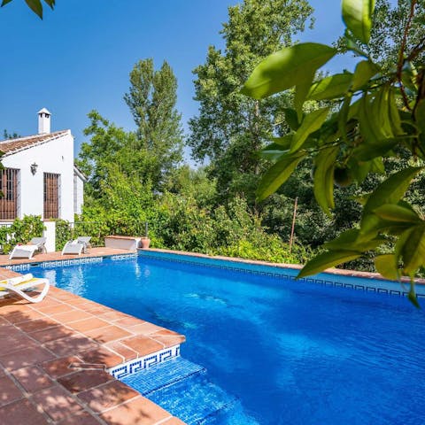 Slip into the pool surrounded by greenery for a serene dip