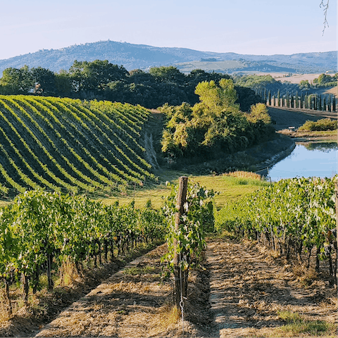 Sip wine at Montemorli vineyard – it's only twenty minutes away on foot