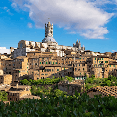 Dine out in sunny Siena – it takes thirty minutes by car