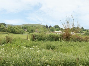 Southwest Serenity image 15