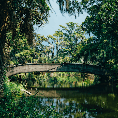 Visit New Orleans City Park, half an hour away by street car