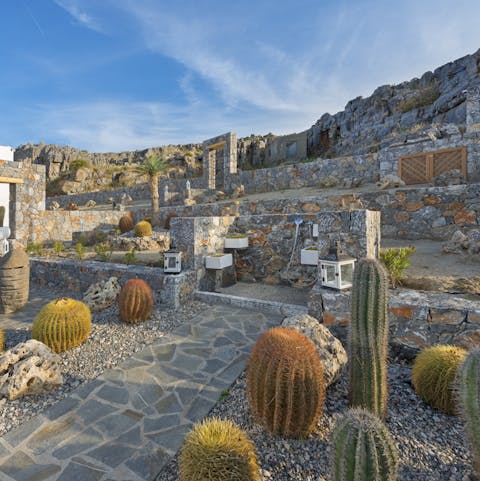 Use the outdoor shower amid gorgeous cacti