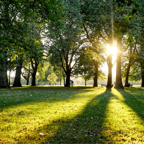 Enjoy an afternoon stroll through Kennington Park, thirteen minutes away on foot
