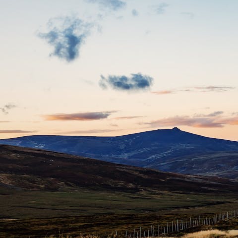 Follow the call of the wild into the beauty of the Glen Dye Estate – Aberdeen is forty–minutes away