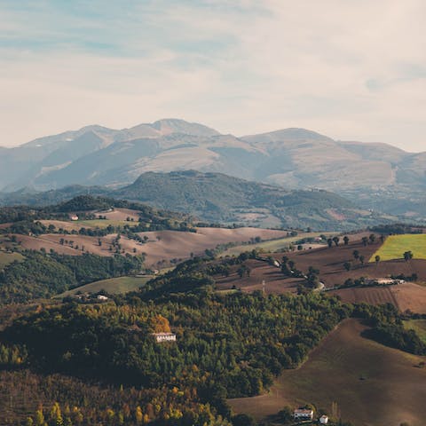 Fall in love with the untouched Marche countryside, exploring its Adriatic coastline, walled cities, and cultural sights