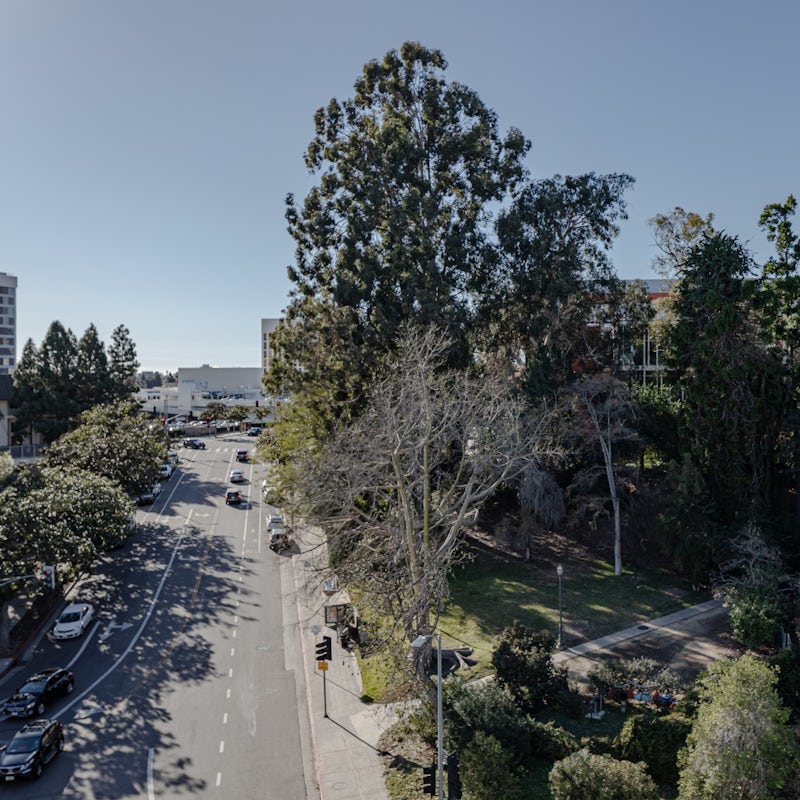 The building is just a step away from Botanical Garden and Geffen Playhouse Theater