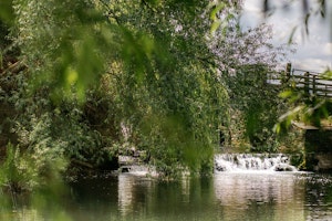Grain Of Water image 8
