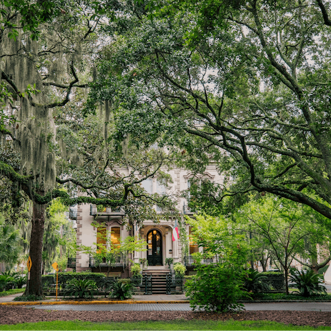 Wander through Savannah's network of colonial-era public squares that start just across the street