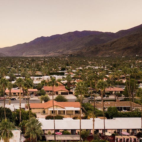 Discover the best of Palm Springs from a central location