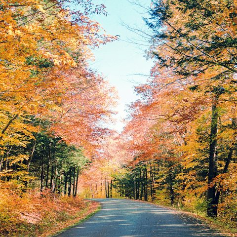 Experience the natural beauty of the Catskills