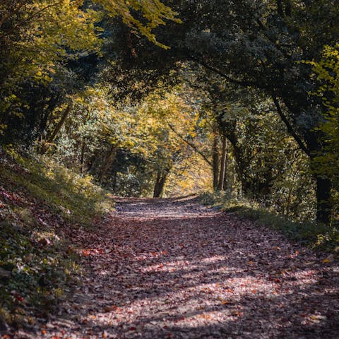 Savour quiet woodland walks, just on your doorstep