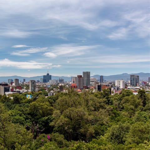 Head out into Mexico City and soak up all the sights
