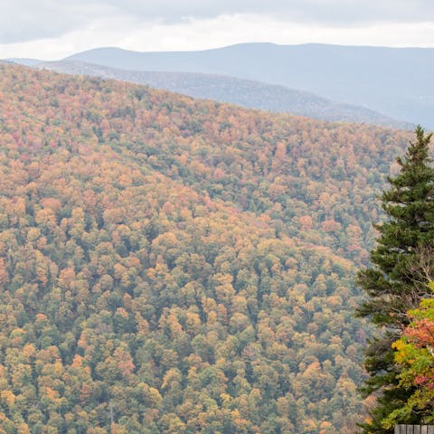 Pull on your walking boots or skis (depending on the season) for a day up Hunter Mountain