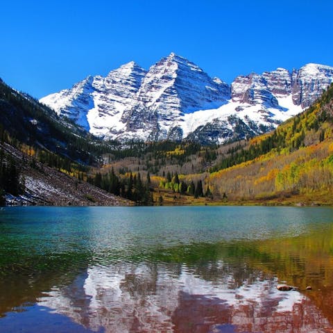 Visit the Maroon Bells Wilderness Area where you may spot a moose or two