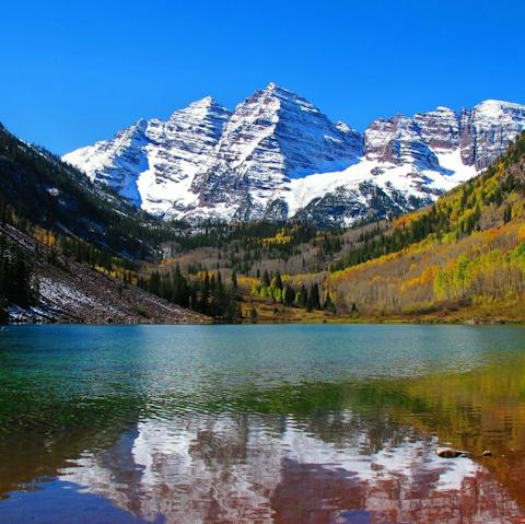 Visit the Maroon Bells Wilderness Area where you may spot a moose or two