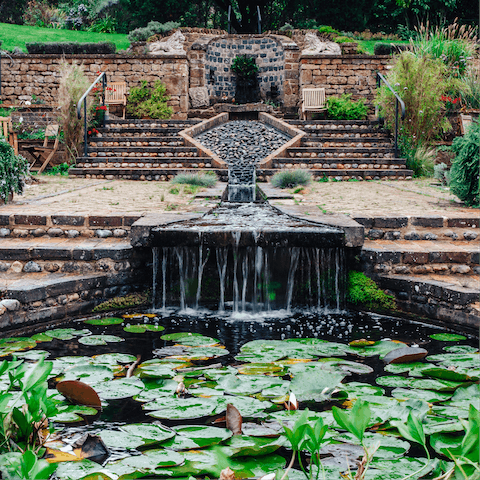 Take a peaceful moment by the courtyard's lotus pond that ripples into a waterfall