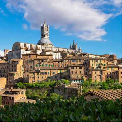 Discover the captivating city of Siena, a little over a hour's drive