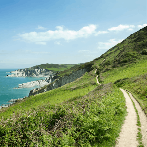 Set off for hikes along the dramatic Devon coast