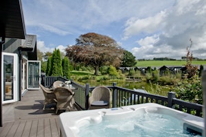 This Is The Life image 1