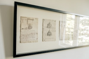 One Vision image 11