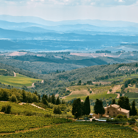 Admire the view from Castellina in Chianti – it takes twenty-nine minutes by car