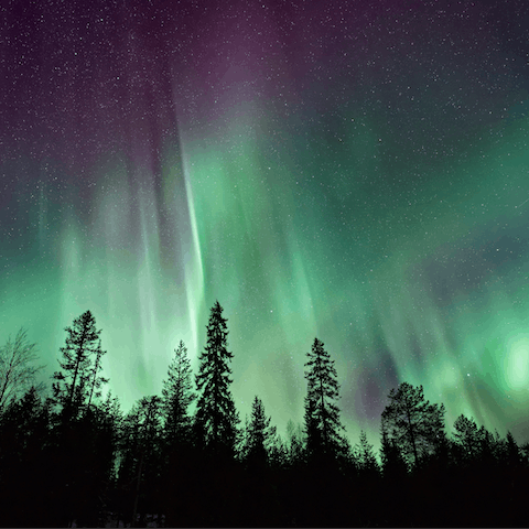 See if you can spot the Northern lights during winter