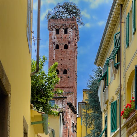 Take photos outside of Guinigi Tower, just an eight–minute walk away
