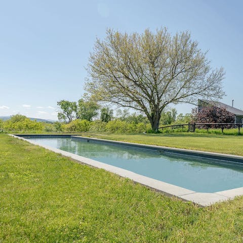 Swim in your private saltwater pool amid 14 acres of land