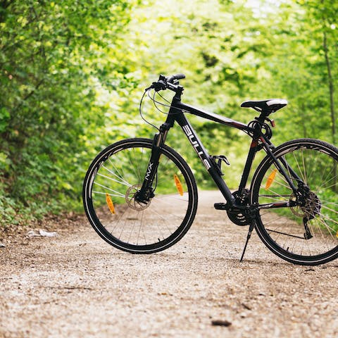 Mountain bike through nearby Mixe woods
