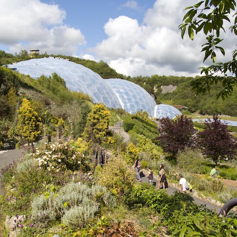 Visit the nearby Eden project and Lost Gardens of Heligan