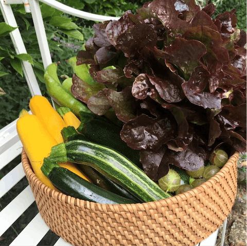 Sample fresh produce from the garden